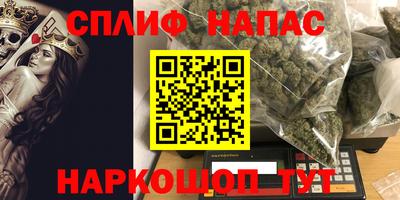 молекула духа Новозыбков