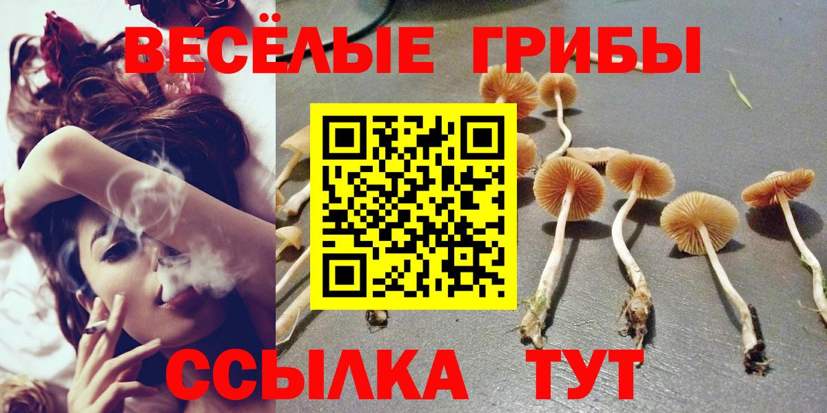 Псилоцибиновые грибы мухоморы  Вход с VPN  Старая Купавна 